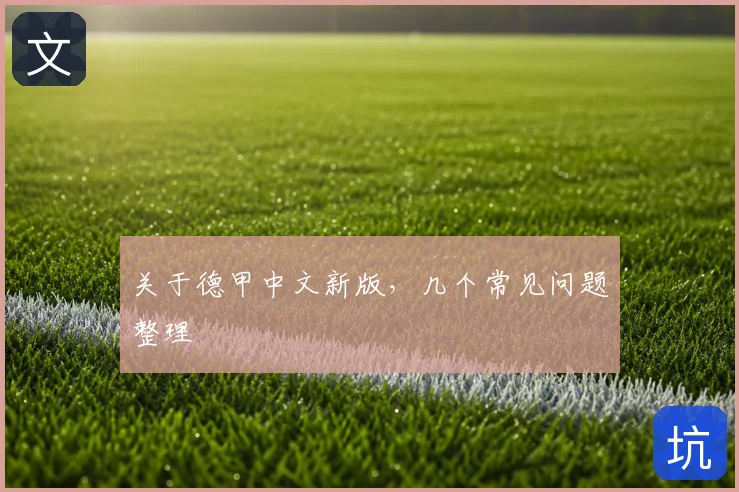 关于德甲中文新版，几个常见问题整理